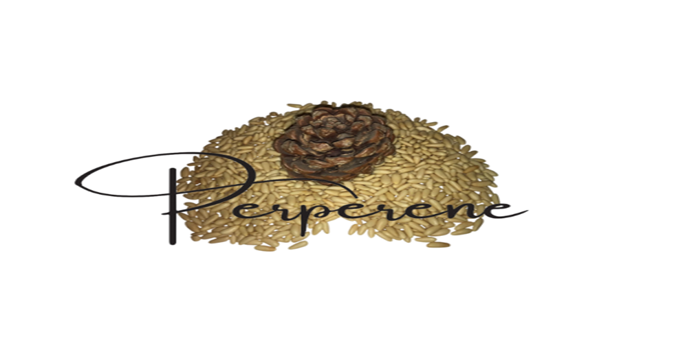 kampanya